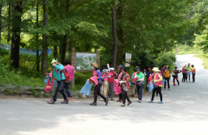 공주시여성단체협의회, 마곡사 일원에서 자연보호활동 펼쳐