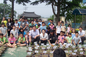 보령시 주포면, 사랑담은 목화 화분 나눔 행사 가져