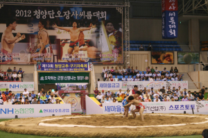 단오장사 씨름대회 청정청양에서 개최!