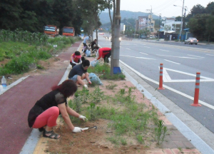 공주시  신관동새마을회, 공주대앞 보도 잡초 뽑기 봉사활동 실시 
