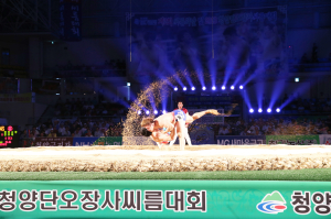 청양군 스포츠마케팅, 지역경제 활성화 효과 커 