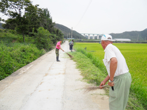 목면 지곡1리 환경정화 활동 실시