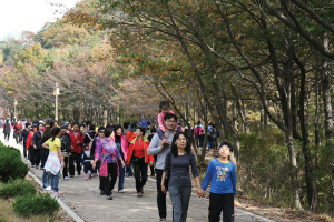 가을 산행 ‘칠갑산’ 인기