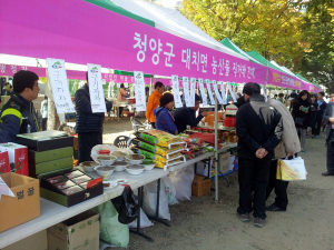 대치면, 농·특산물 직거래장터 열어