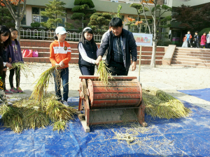 도심 속 학교 벼베기 행사 가져