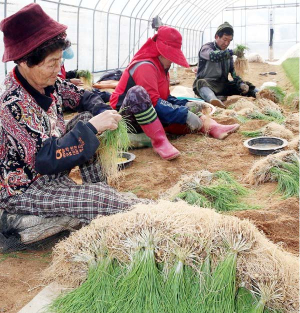 ‘봄의 맛’ 미리 느껴 보세요