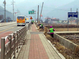대치면 농가주부모임, 국도변 환경미화 실시