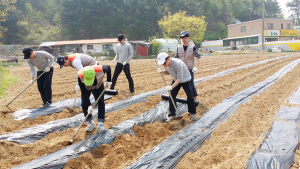 파라다이스 돕기회, 운곡면 봉사활동 나서