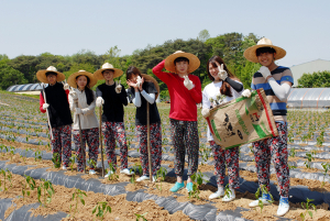 홍익대학교학생, 봄철 농촌봉사활동 인기