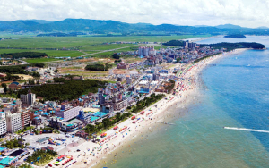 대천해수욕장·무창포해수욕장 수질 ‘적합’