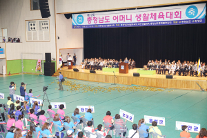 충청남도 어머니 한마당 축제 성황