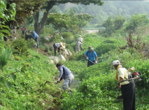 아산시, 주민 참여형 '실개천 살리기 운동' 확산 정착 