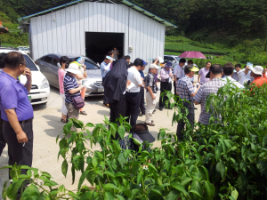 ‘청양 고추농사 배우자’ 벤치마킹 줄이어!