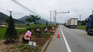 목면, 관내 주요 도로변 환경개선 작업 실시