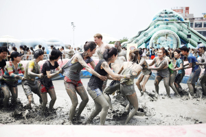 보령머드축제, 2014 대한민국소비자 대상 선정