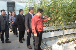 이동필 농림축산식품부 장관, ICT 융복합(스마트온실) 현장 방문