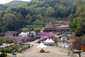 칠갑산산꽃마을 장광석 위원장 대통령상