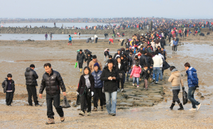 무창포신비의 바닷길, 대한(大寒)에 새해 처음 열린다.