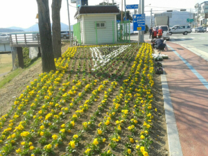 공주시, 2015 국토공원화사업 본격 착수