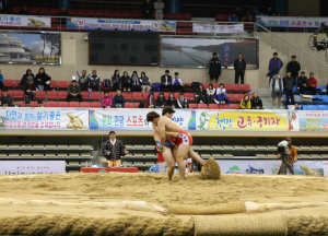 2015 천하장사씨름대축제가 오는 22일까지 청양군민체육관에서 개최된다.