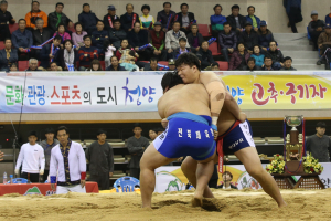 2015 천하장사씨름대축제 성료