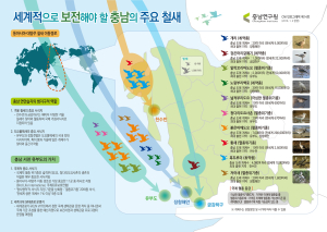 충남연구원 멸종위기 철새 서식지 보전 정책 필요