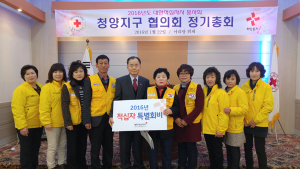 적십자 인도주의 정신, 지역사회 복지증진 향상