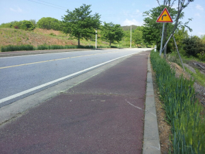 장평면, 도로변 보리길 조성 박차