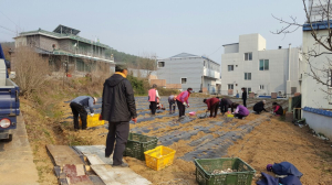 장평면, 둥근마 재배 시범포 조성