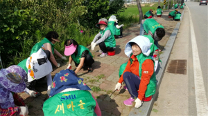 부여읍 새마을부녀회, 궁남지 주변 환경정화 실시