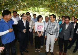 조롱박의 화려한 변신 눈길끈다