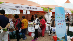 장평면, 평생학습박람회장 내 직거래장터 운영