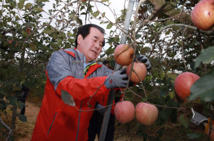 충남도교육청, 4일 봉사활동 전개로 지역사랑 나눔 실천