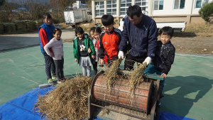 합천초, 
