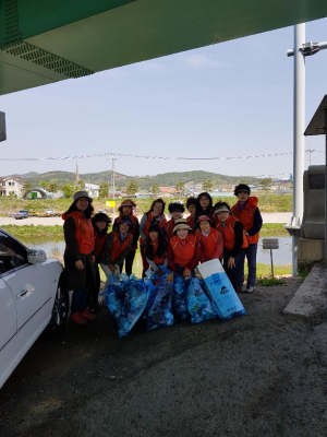 청양읍여성자원봉사회, 환경정화 활동
