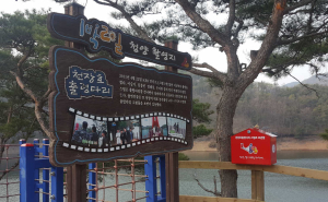 황금 복 거북이를 따라갔더니 선물