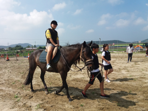 수정초, 여름방학 승마 캠프 운영