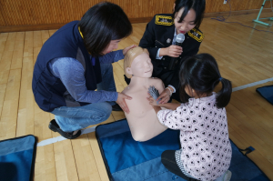목면초, 