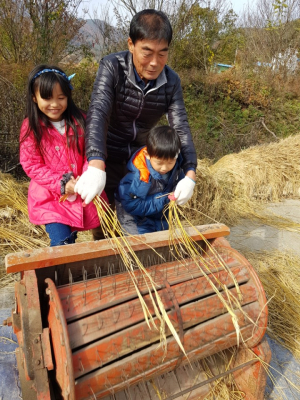 남양초, 농촌생태환경교육 탈곡체험학습 가져