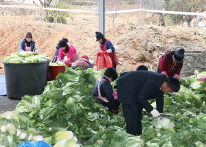 정산면, 사랑의 김장 나누기’ 봉사활동 가져