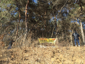 정산면, 설맞이 불법 유동광고물 일제정비 실시