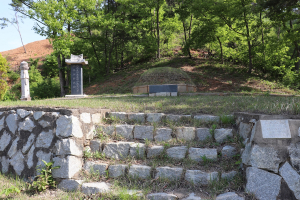 목면, 정산3.1만세운동 이끈 권흥규 의사 순국 100주기 특별제향