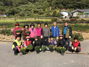 대치면 이화리 주민, 한마음 한뜻으로 꽃길조성