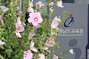 충남도교육청, 2018년 국가상징(무궁화) 선양 대통령 표창 수상