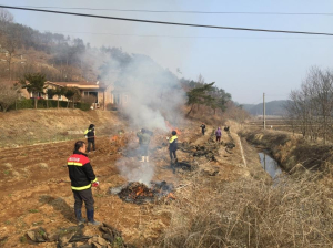 목면, 산불방지 공동소각활동 실시