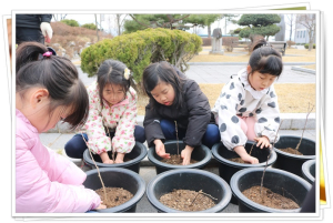 정산초, 나라사랑 나만의 무궁화를 꽃 피워요