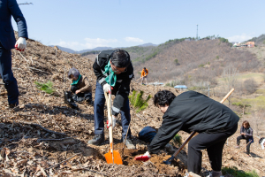‘충남 알프스 청양’ 식목일 행사 다채