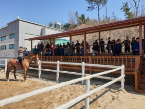 홍성군 승마장, 힐링 승마 과정 운영