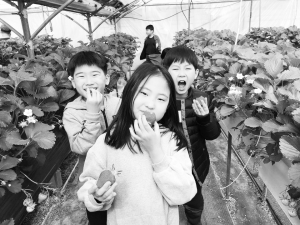 청남초 ‘새콤달콤한 딸기를 입으로 쏙~’ 
