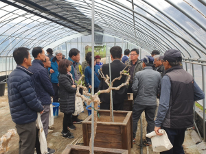 청양군, 생육단계별 구기자 재배교육 시작 